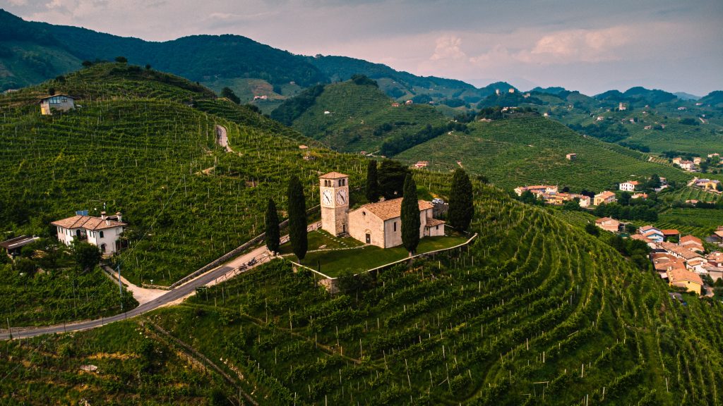 Paysage viticole 
invitation visuelle à réaliser une expérience oenotouristique durable 