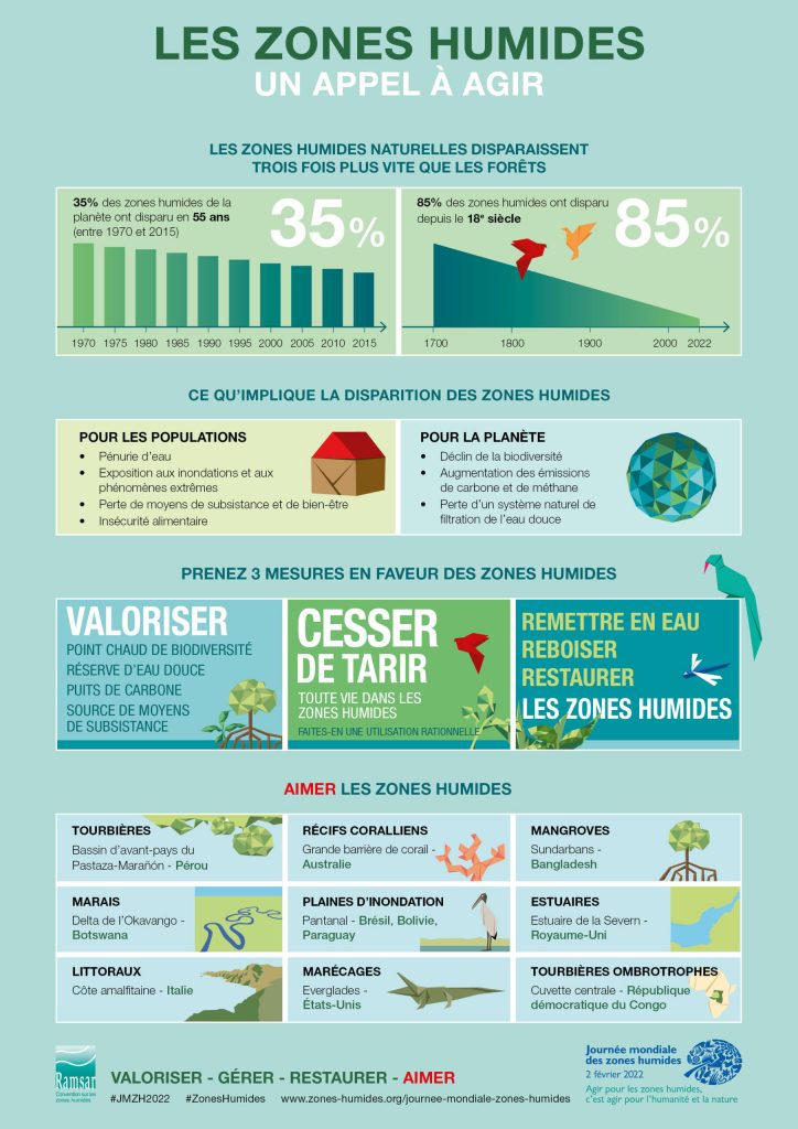 Infographie sur la journée mondiale des zones humides. 
Elle présente la santé des zones humides au niveau mondial et liste des actions à réaliser pour les préserver. 